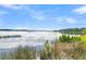 Serene waterfront view with calm water and lush vegetation at Lot 93 Lady Banks Ln, Hollywood, SC 29470