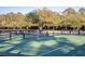Well-maintained pickleball courts for recreation at 9844 Haven Loop, Johns Island, SC 29455
