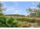 Serene marsh view from backyard, featuring native plants and grasses at 9844 Haven Loop, Johns Island, SC 29455