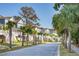 Charming street lined with houses and palm trees at 1691 Cultivation Lane Way # 462, Mount Pleasant, SC 29466