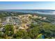 Aerial view of a coastal community with lush landscaping and waterfront access at 1691 Cultivation Lane Way # 462, Mount Pleasant, SC 29466