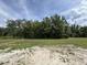 Wooded lot with cleared space ready for new home construction at 983 Weeks Ln, Round O, SC 29474