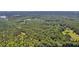 Aerial view of a vast wooded area with a pond and several properties at 00 Handsome Dr, Johns Island, SC 29455