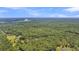 An expansive aerial view showcases a serene wooded landscape with water features at 00 Handsome Dr, Johns Island, SC 29455