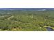 Aerial view of expansive wooded property with a pond and water access at 00 Handsome Dr, Johns Island, SC 29455
