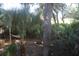Peaceful backyard with lush greenery and a hammock at 818 Club Cottage Court, Edisto Beach, SC 29438