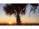 Stunning sunset over the water, palm trees in the foreground at 818 Club Cottage Court, Edisto Beach, SC 29438