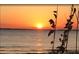 Stunning sunset over the calm ocean water at 818 Club Cottage Court, Edisto Beach, SC 29438
