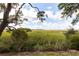 Scenic marsh view from property at 1712 Live Oak Park, Seabrook Island, SC 29455