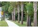 Sidewalk beside a tree-lined street, creating a peaceful community atmosphere at 1679 Siloh Dr # 494, Mount Pleasant, SC 29466