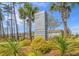 Community entrance sign, lush landscaping, and palm trees create inviting atmosphere at 113 Whimbrel Dr, Summerville, SC 29486