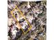 Aerial view of property showing house and surrounding lot at 1746 Pierpont Ave, Charleston, SC 29414