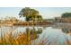 Calm lake reflecting trees and houses, with tall grasses in foreground at 3869 Delinger Dr, Mount Pleasant, SC 29466
