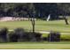 Scenic golf course with putting green and water feature in the background at 1311 S Jenkins Lagoon Dr, Seabrook Island, SC 29455