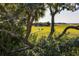 Serene marsh view from a wooden walkway; peaceful waterfront property at 1311 S Jenkins Lagoon Dr, Seabrook Island, SC 29455