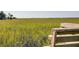 View from a wooden bench overlooking a serene marsh landscape at 1311 S Jenkins Lagoon Dr, Seabrook Island, SC 29455
