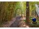 Tranquil garden path with bamboo, lush foliage, and an arched gate at 1311 S Jenkins Lagoon Dr, Seabrook Island, SC 29455