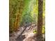 Peaceful garden path leading through bamboo and lush greenery to an arbor gate at 1311 S Jenkins Lagoon Dr, Seabrook Island, SC 29455