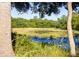 Scenic marsh landscape with tall grasses and calm water at 1311 S Jenkins Lagoon Dr, Seabrook Island, SC 29455