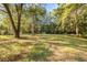 Large backyard with mature trees and shed at 115 Galloway Ct, Moncks Corner, SC 29461