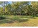 Large backyard with mature trees and lush grass at 115 Galloway Ct, Moncks Corner, SC 29461