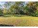 Spacious backyard with mature trees and lush grass at 115 Galloway Ct, Moncks Corner, SC 29461