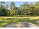 Spacious backyard with lush green grass and trees at 115 Galloway Ct, Moncks Corner, SC 29461
