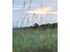 Tall grass in foreground with trees and sky in background at 140 Flyway Dr, Kiawah Island, SC 29455