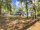 Spacious backyard with mature trees and a private, wooded setting at 107 Hiers Corner Rd, Walterboro, SC 29488