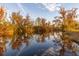 Scenic lake view with fall foliage mirrored in calm waters at 4285 Clover Hill Rd, Green Pond, SC 29446