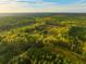 Aerial view of property with pond and forest at 4285 Clover Hill Rd, Green Pond, SC 29446