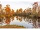 Scenic lake view with autumnal foliage reflected in the still water at 4285 Clover Hill Rd, Green Pond, SC 29446