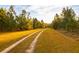 Sandy path through a lush forest at 4285 Clover Hill Rd, Green Pond, SC 29446