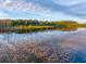 Tranquil lake view with lily pads and fall colors reflected in the water at 4285 Clover Hill Rd, Green Pond, SC 29446