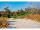 Sandy nature trail winds through lush vegetation, offering a serene escape at 1735 Atlantic Ave, Sullivans Island, SC 29482