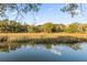 Serene marsh view with calm water reflecting surrounding trees at 1894 Capri Dr, Charleston, SC 29407