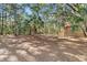 Large backyard with mature trees and spacious grassy area at 2435 Seabrook Island Rd, Seabrook Island, SC 29455