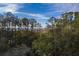 Aerial view of a home with marsh and water views at 1718 Cultivation Lane St # 536, Mount Pleasant, SC 29466