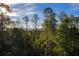 Aerial view showcasing waterfront property and lush trees at 1718 Cultivation Lane St # 536, Mount Pleasant, SC 29466