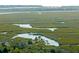 Aerial view of marsh with winding river at 1471 Tomato Farm Cir, Mount Pleasant, SC 29464