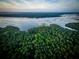 Aerial view of lush forest and waterways at 3904 Delinger Dr, Mount Pleasant, SC 29466