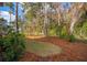 Landscaped backyard with pine straw and natural plantings at 6052 Honey Hole Haven, Johns Island, SC 29455