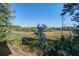 Serene marsh view from the property at 1999 N Creek Dr, Mount Pleasant, SC 29466