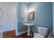 Stylish powder room with pedestal sink, decorative mirror, and blue walls at 1999 N Creek Dr, Mount Pleasant, SC 29466