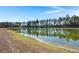 Serene pond view with tree reflection at 728 Ladywood Dr, Summerville, SC 29486