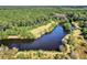 Picturesque pond surrounded by dense forest and grassy areas at 4239 Tom Point Rd, Hollywood, SC 29449