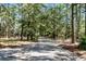 Long gravel driveway leading through a wooded area at 4239 Tom Point Rd, Hollywood, SC 29449