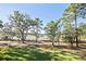 Scenic view of calm water, lush greenery and large oak trees from a backyard at 4239 Tom Point Rd, Hollywood, SC 29449