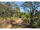 Nature trail winding through lush wooded area, offering a tranquil retreat at 4239 Tom Point Rd, Hollywood, SC 29449
