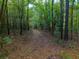 Path through a dense wooded area at 112 Canewood Ln, Ridgeville, SC 29472